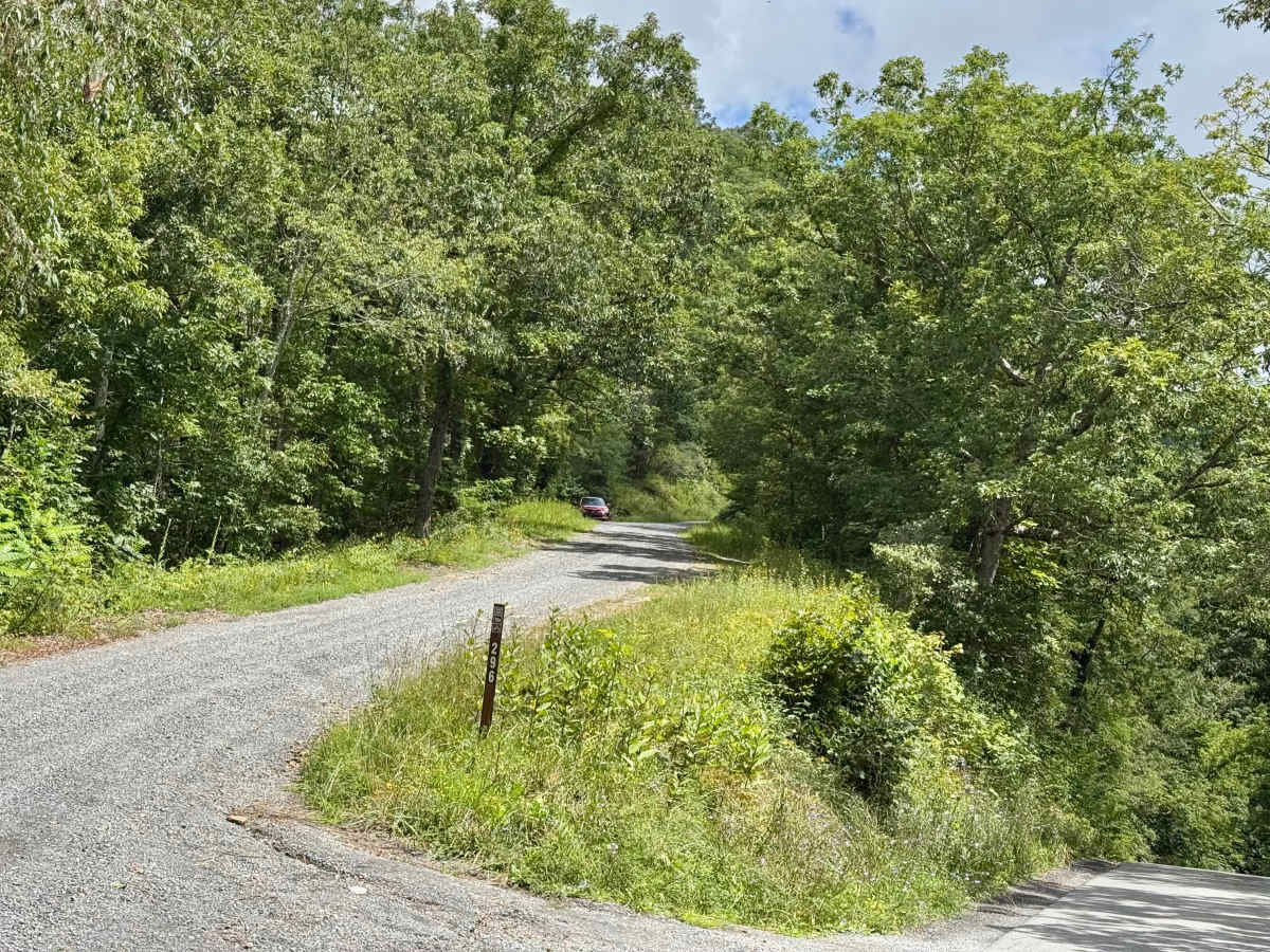 FS 296 trail photo
