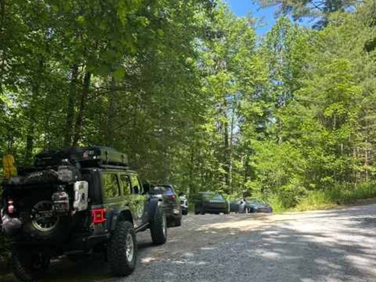 Big Creek Road - FS 4567 photo 5