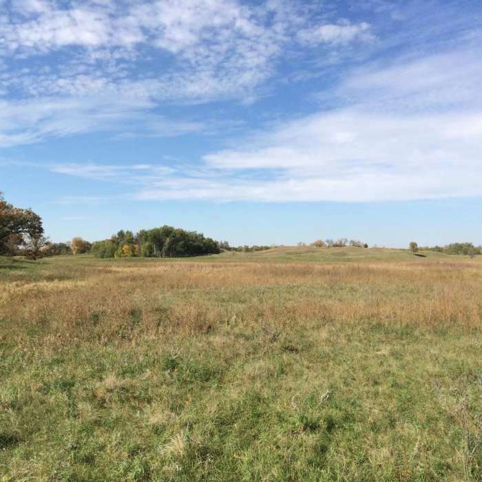 Near Sheyenne National Grassland Near Sheyenne National Grassland