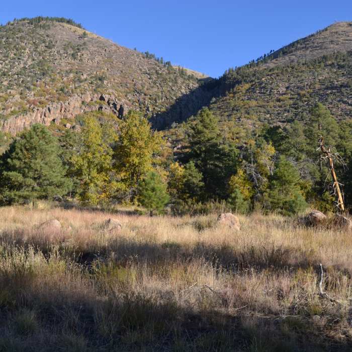 Mount Elden from the Forces of Nature Trail Near Pipeline Trail