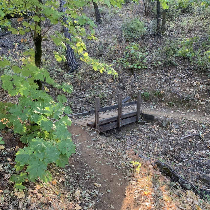 Near Waters Gulch Trail