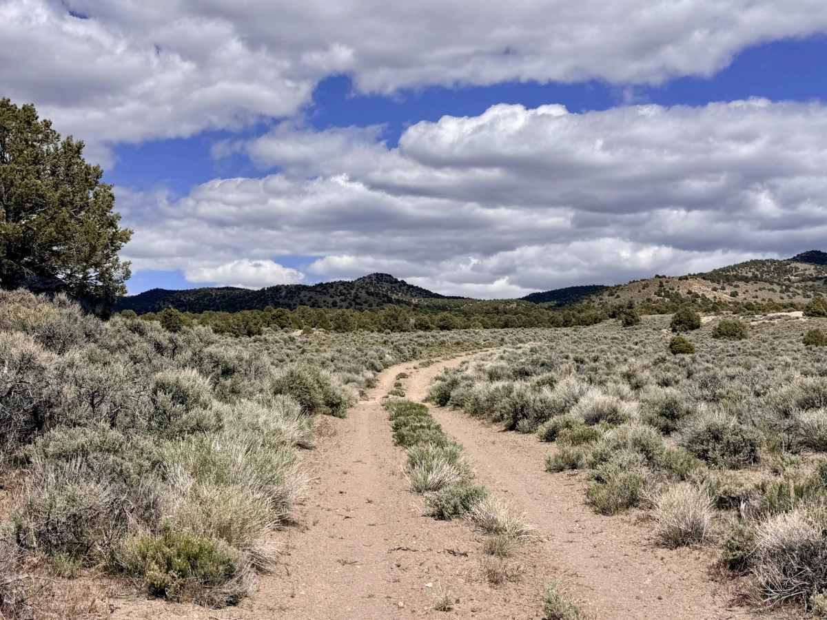 Willow Springs - FS 44427 photo 3