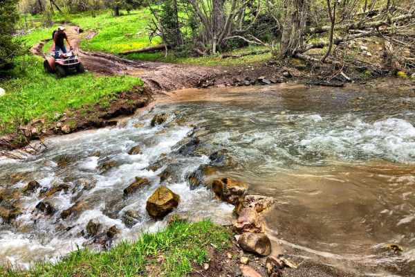 Burns Trout Creek Trail