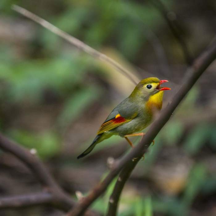 Near Lulumahu Falls Hike