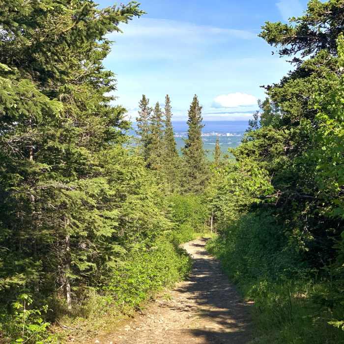 Near Wolverine Peak Near Wolverine Peak