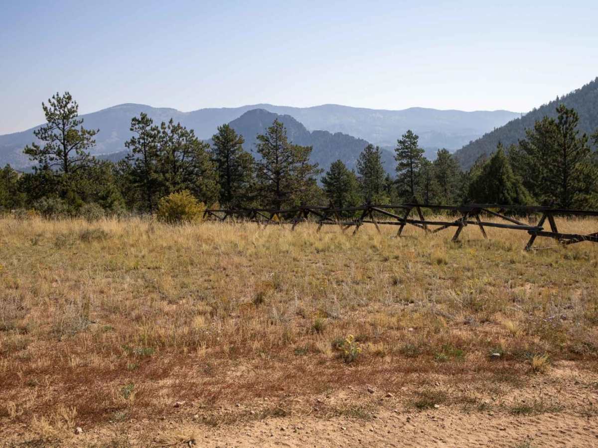 Bald Mountain Gulch 3 photo 5