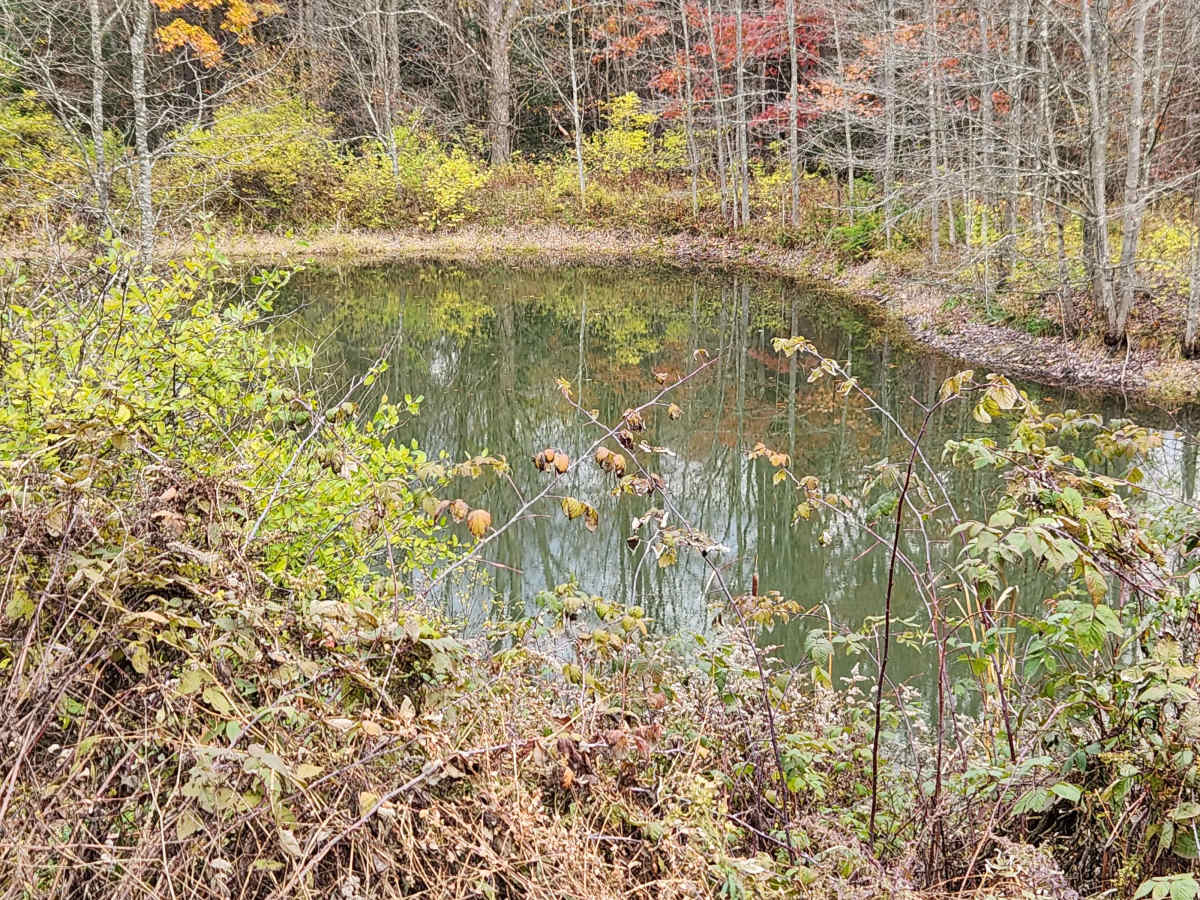 Rock Run - Rock Run Recreation Area photo 5