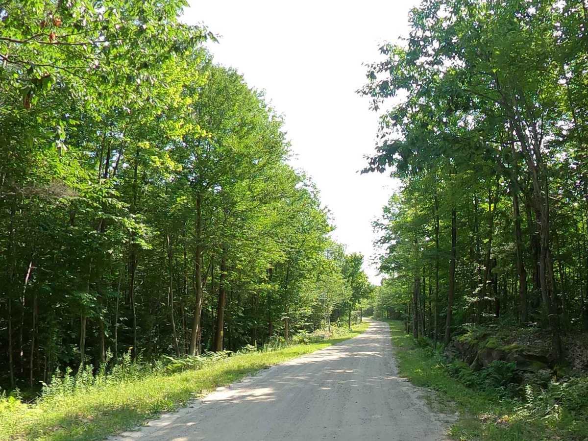 Donnerville Road photo 3