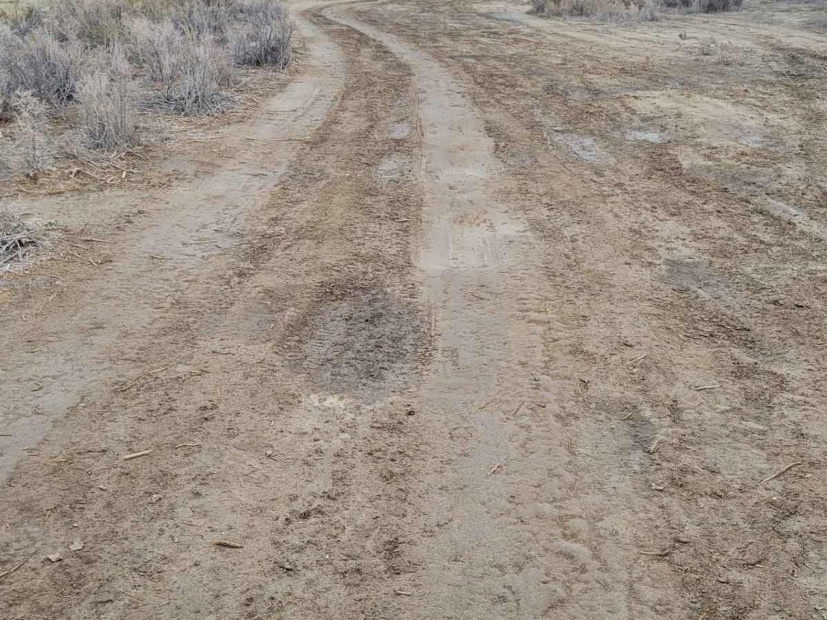 Southside trail photo