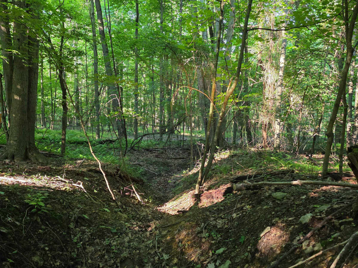 Single Track C1 photo 5