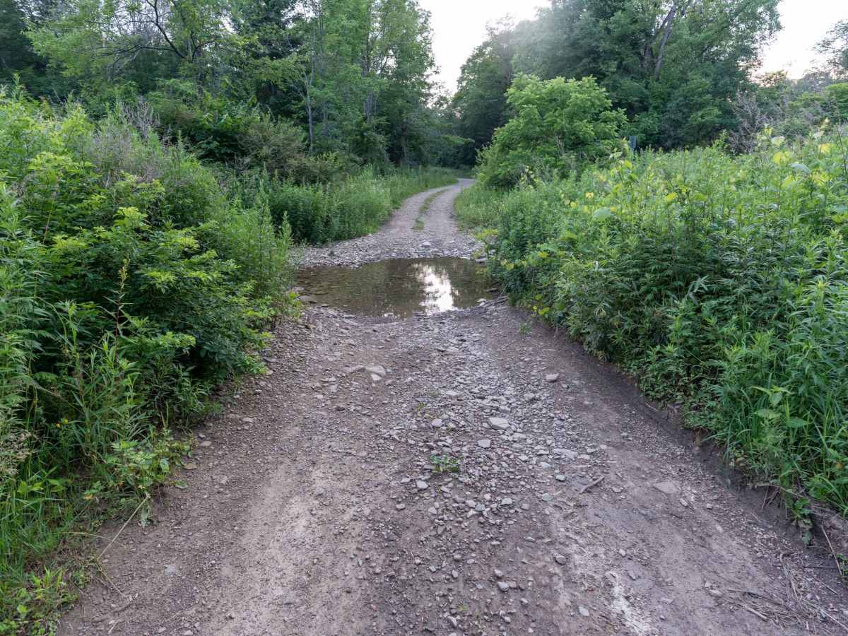 Sullivan Road photo 5