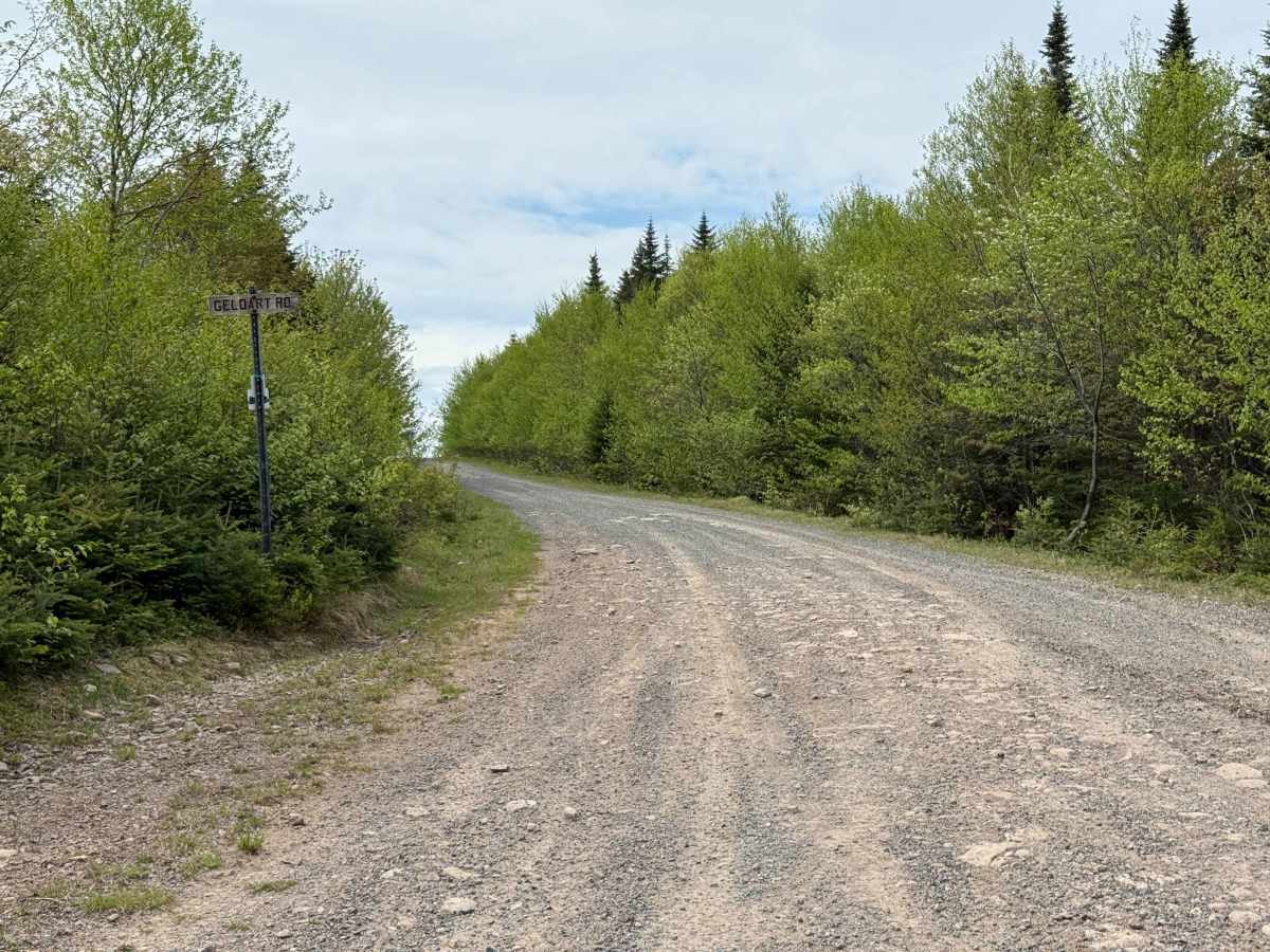 Whycocomagh Mountain Road Trail photo 4