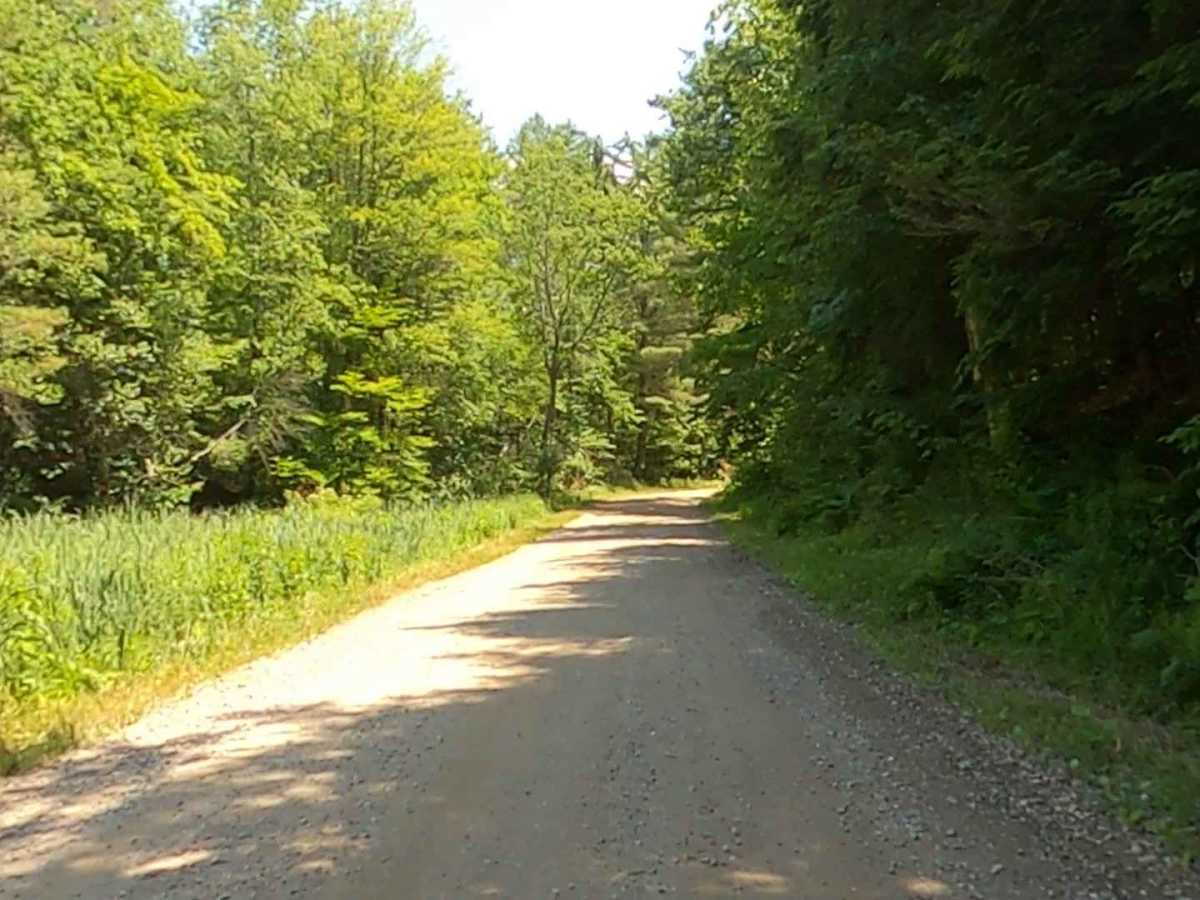 Goose Pond Road photo 2