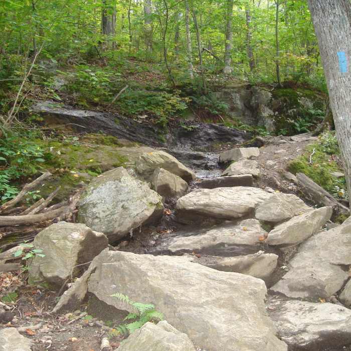 Near Stowe Pinnacle Trail
