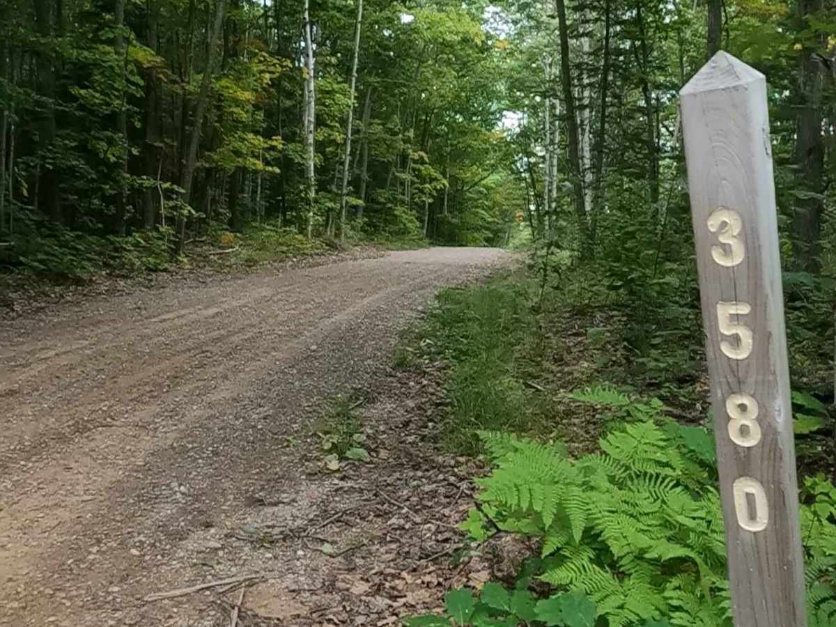 Kaddatz - FS 3580 trail photo