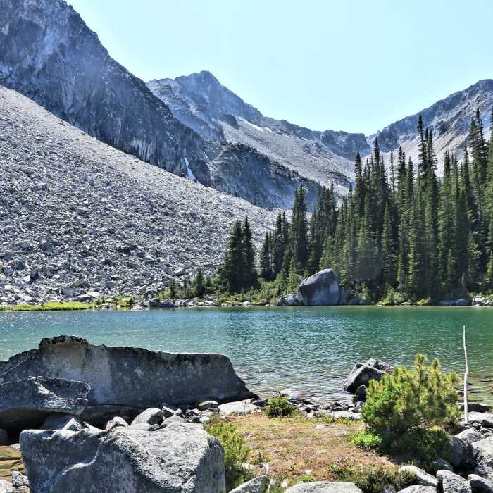 Near Downton Creek Trail