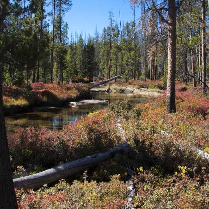 Near Hell Roaring Lake