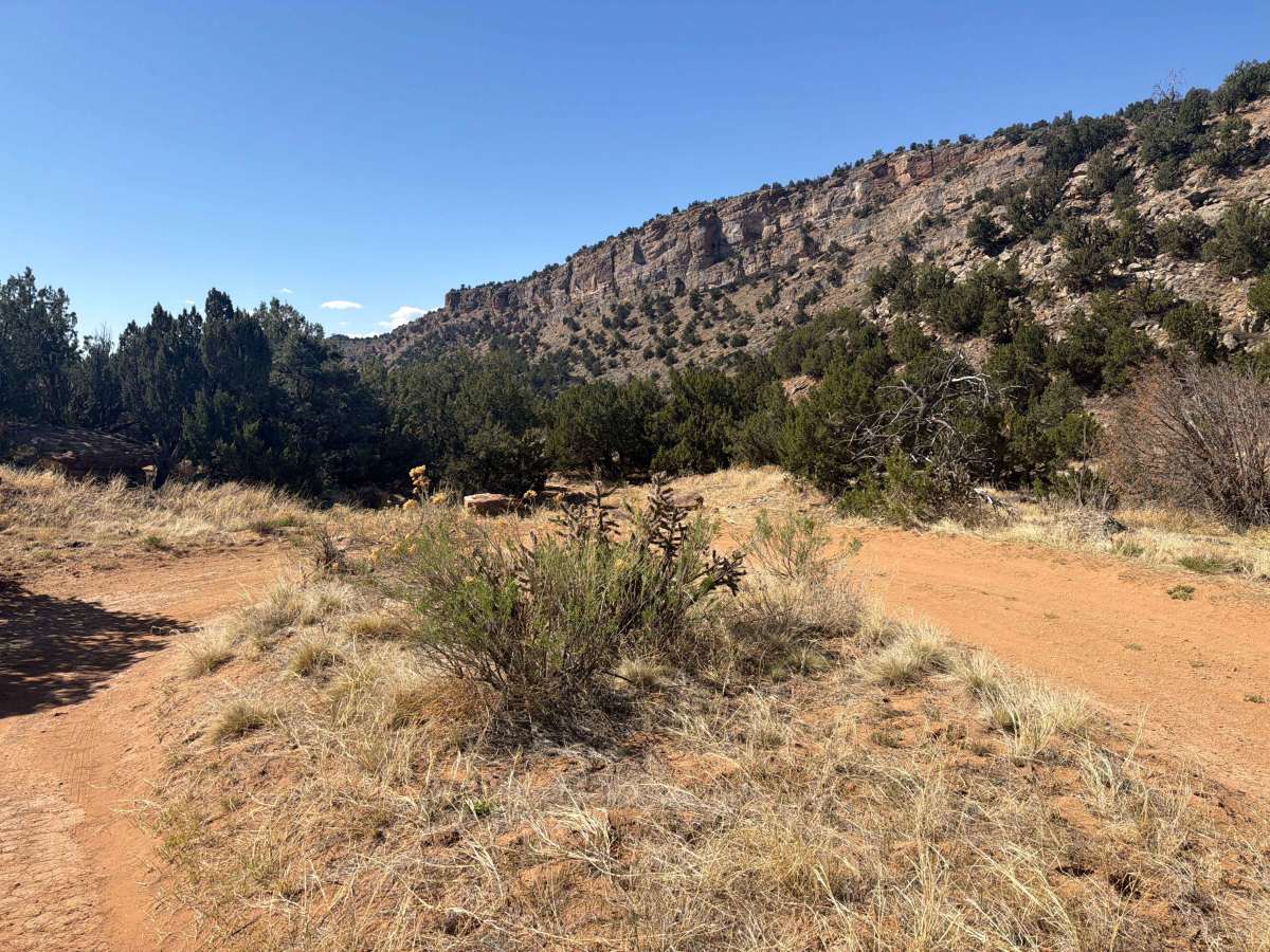 BLM 5935 A photo 4