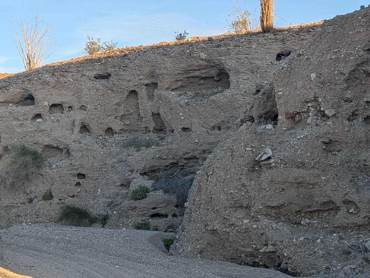 BLM 654 trail photo
