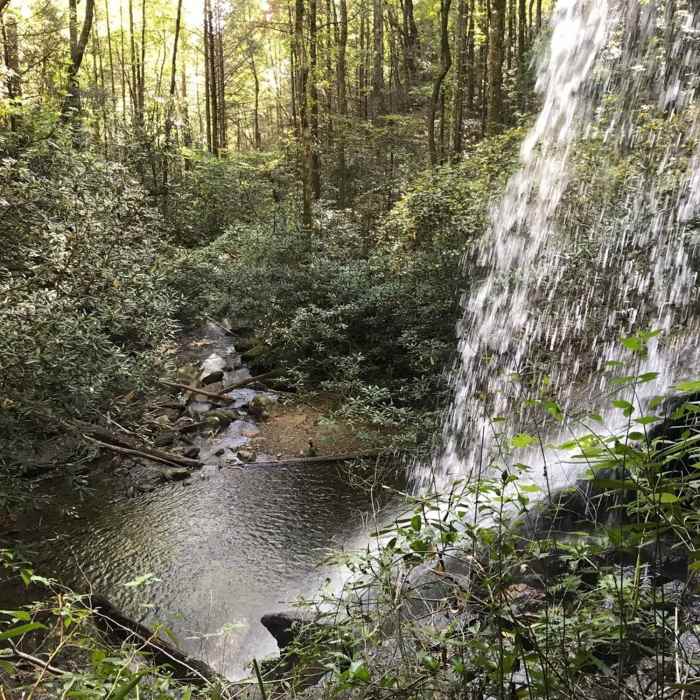 Near Moonshine and Confusion Falls Trail