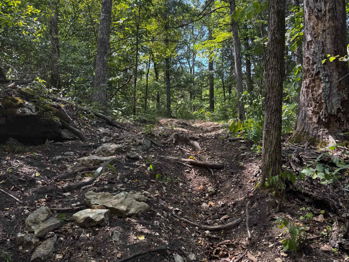 Slippery When Wet trail photo
