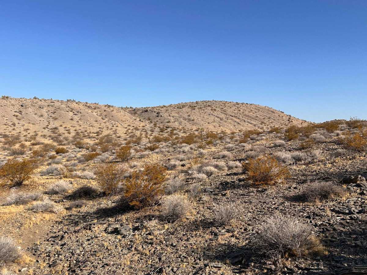Twin Bumps Trail photo 3