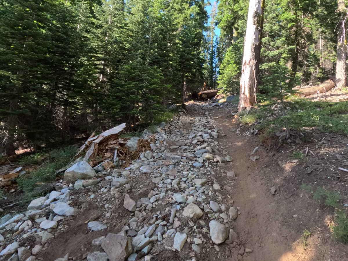 Snake Lake Trail - FS 12E67  photo 2
