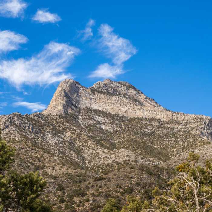 Near La Madre Spring