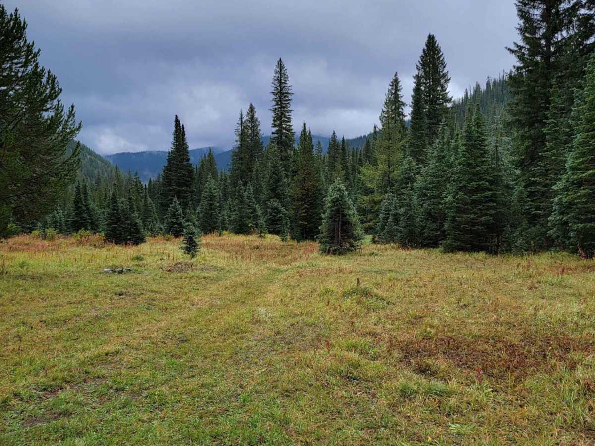 Trail Creek to Graves Creek photo 6
