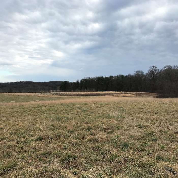 Looking south Near Peacedale Preserve