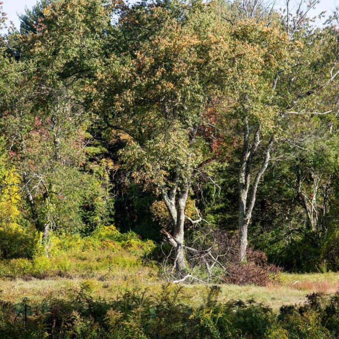 Near Two Rod Road and Davis Corridor Near Two Rod Road and Davis Corridor