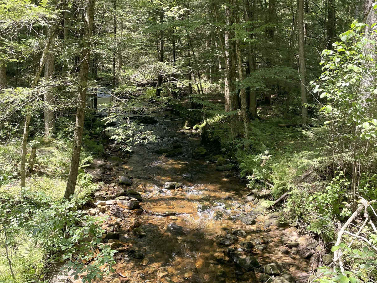 Spruce Run Road photo 3