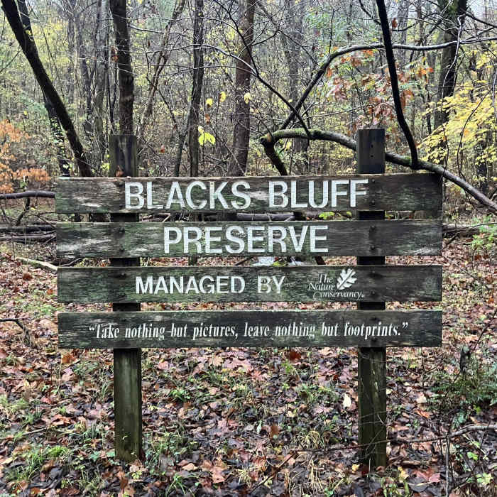 Near Blacks Bluff Preserve Trail