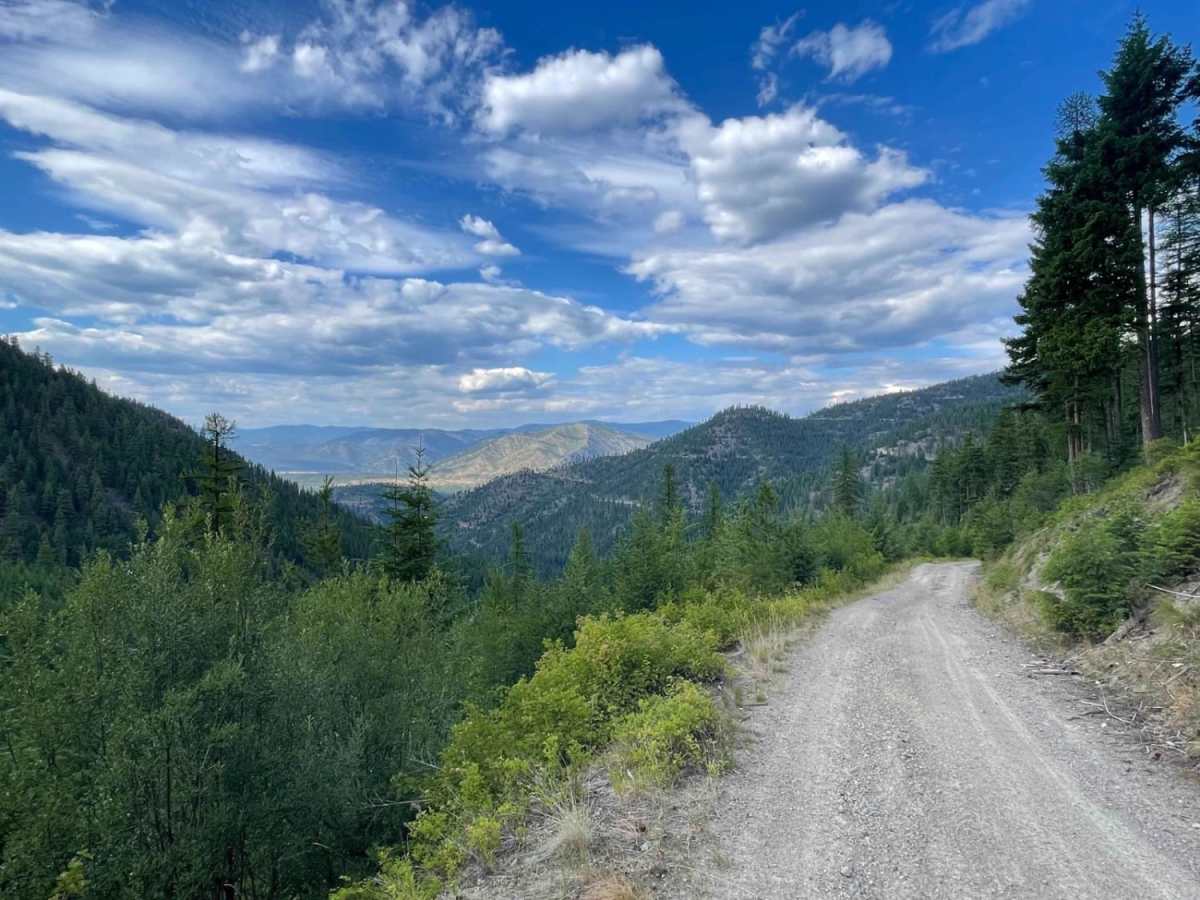 Williams Pass trail photo