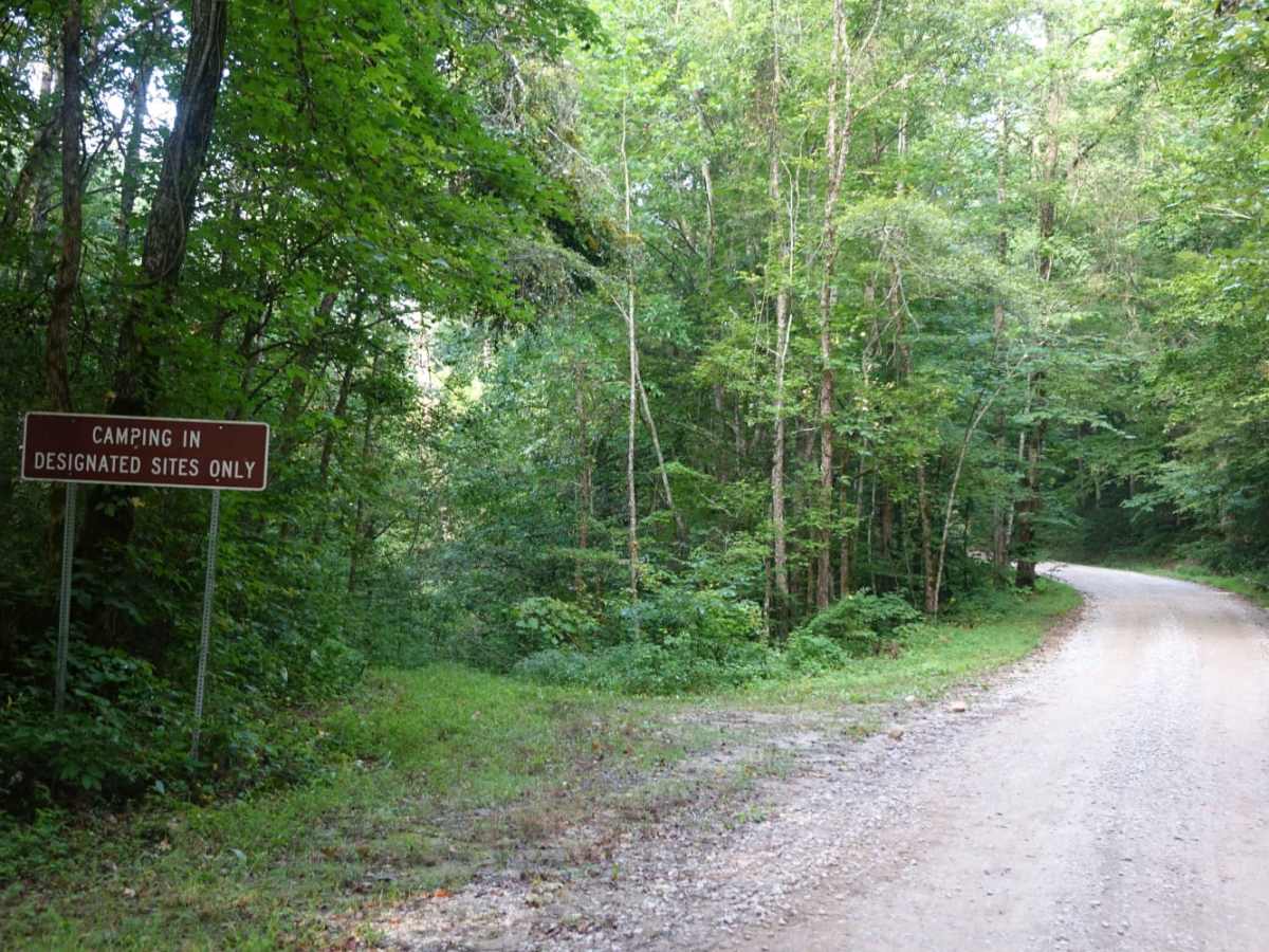 Jellico Creek Road photo 3