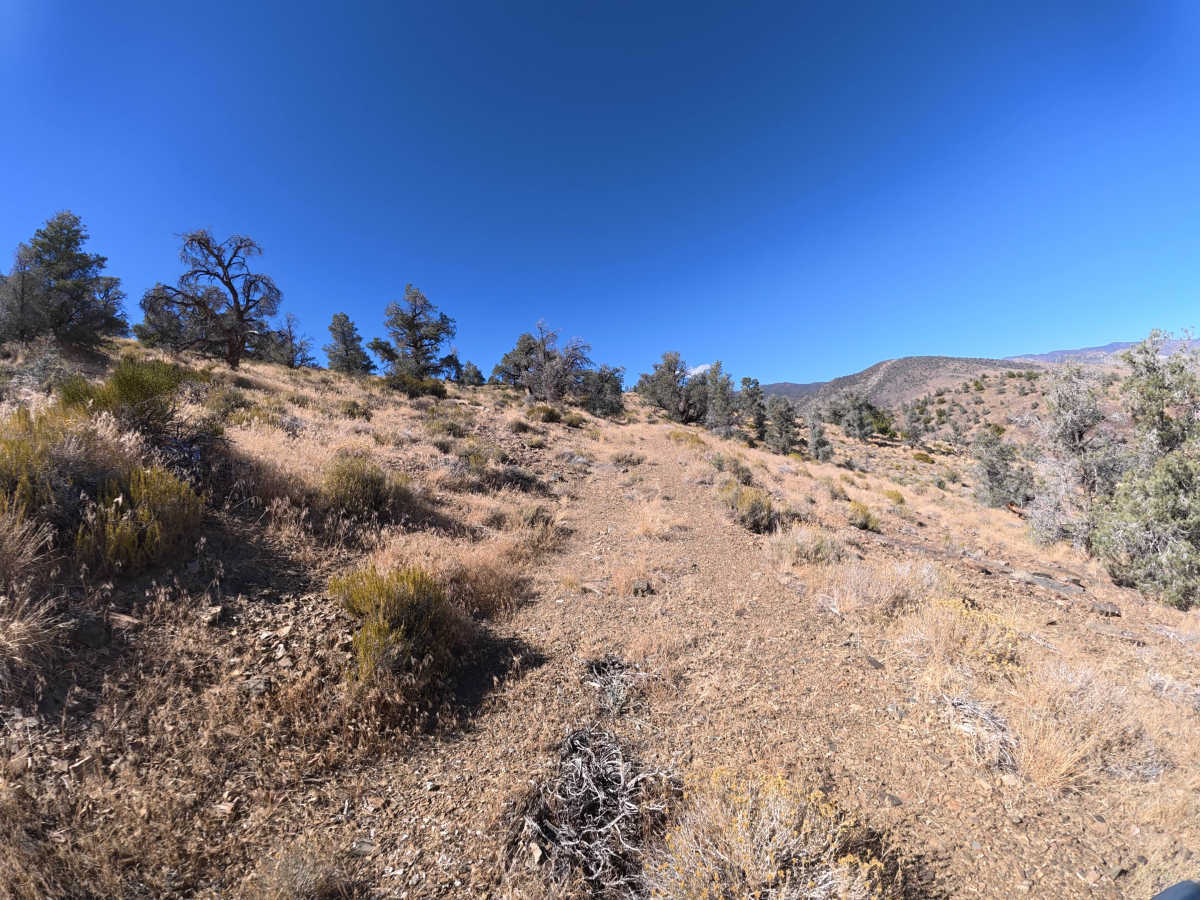 Deep Spring Overlook Trail photo 5