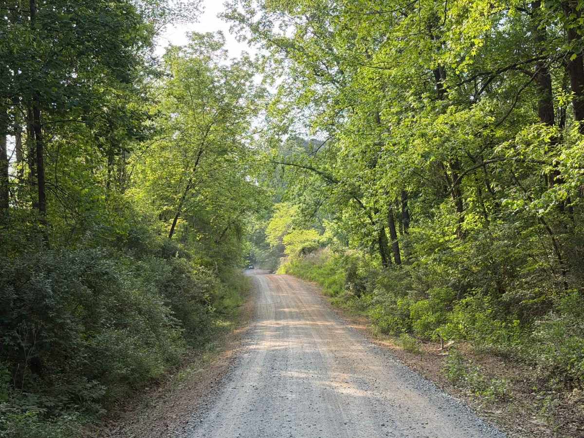 McLeans Creek - FS 544 trail photo