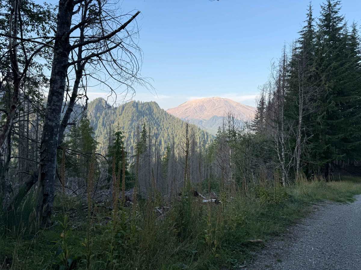 Cougar Creek Road - FS 812200-802200 trail photo