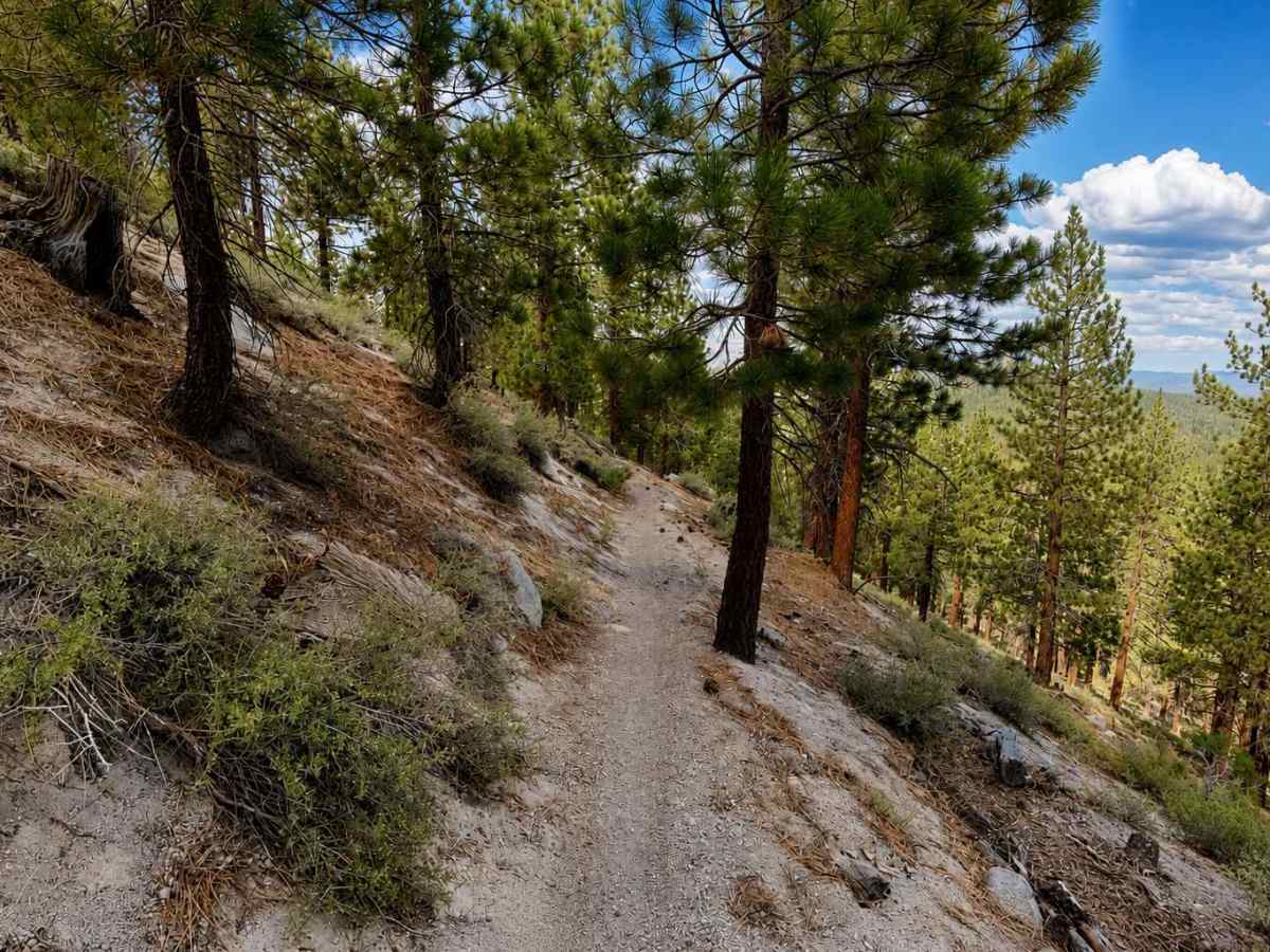 Hartley Spur Trail photo 3