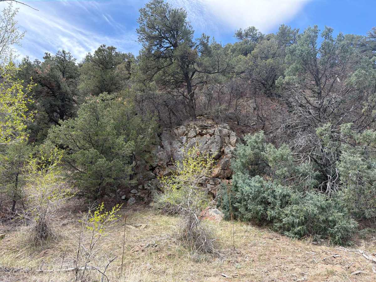 BLM 6195 photo 6
