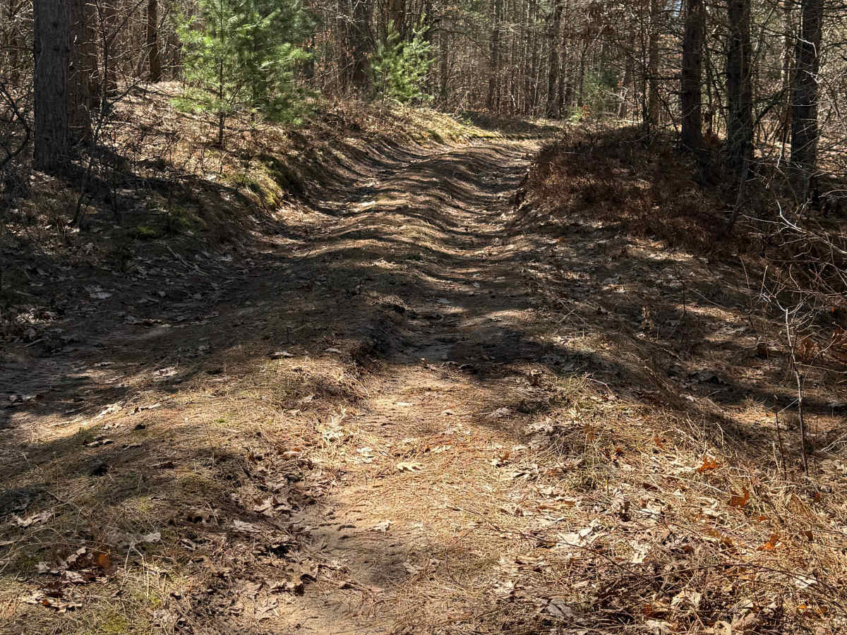 FS 5095 trail photo