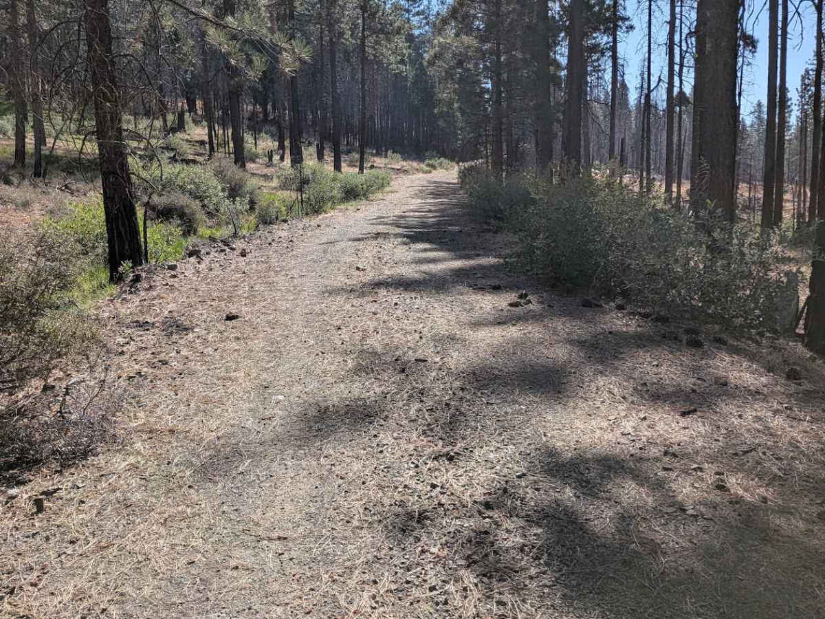North Fork Smokey Creek Road - FS 29N48  photo 2