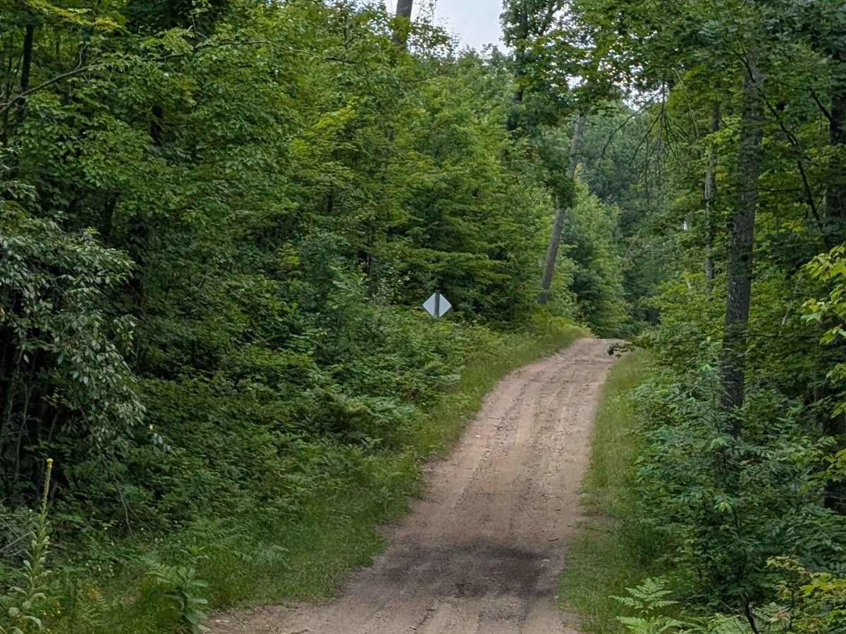 FS 4455 trail photo