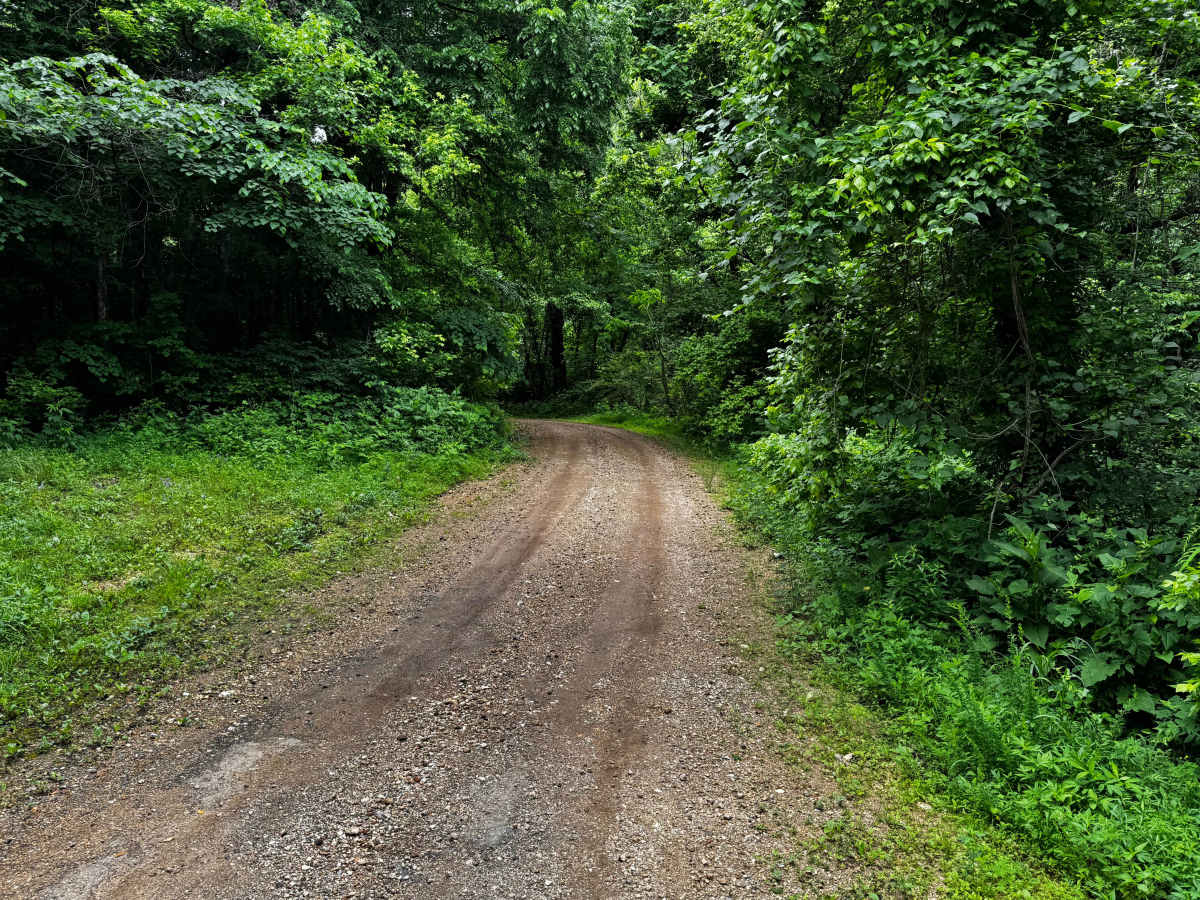 1106 trail photo
