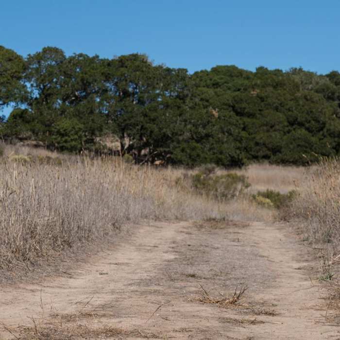 Near Long Valley + Five Fingers Loop Near Long Valley + Five Fingers Loop