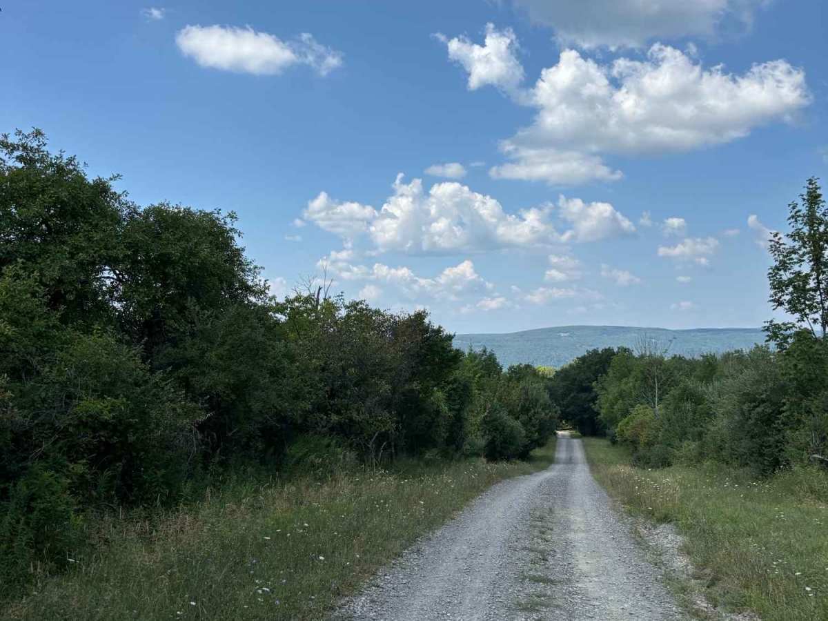View Board Road photo 2