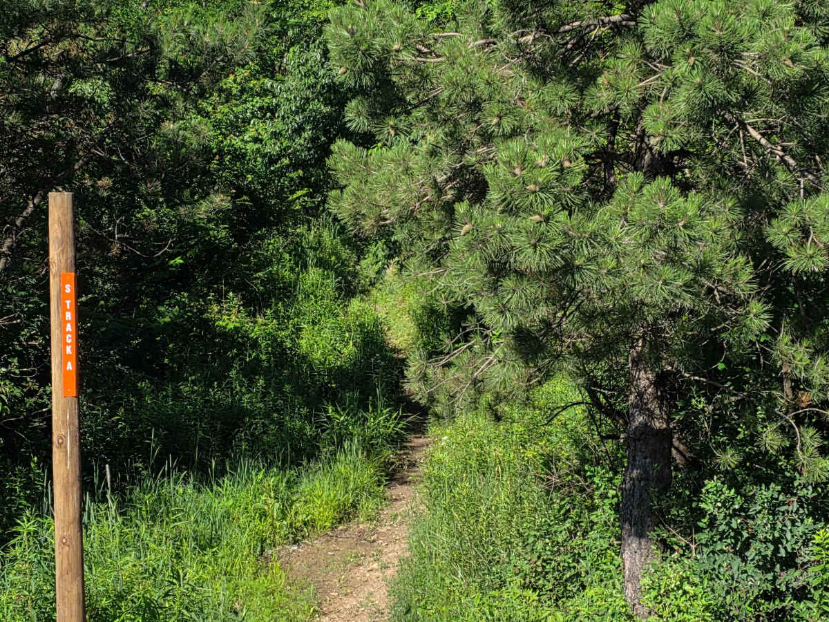 Single Track J1 photo 3