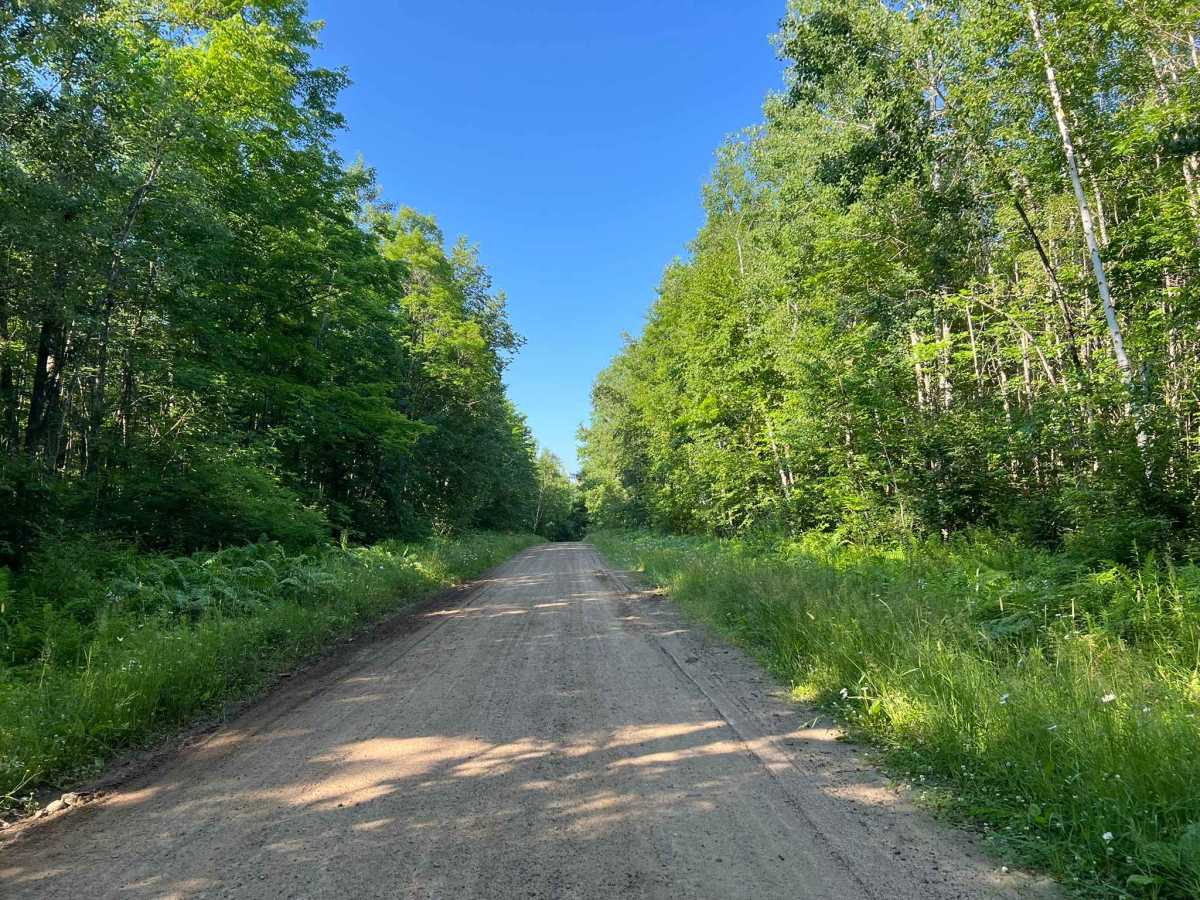 Star Lake Road photo 5