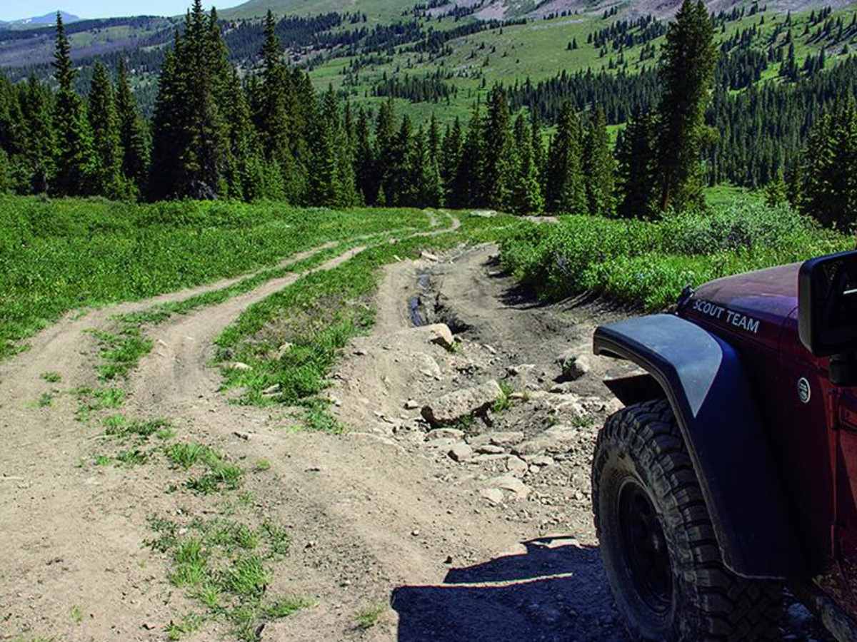 Birdseye Gulch photo 3