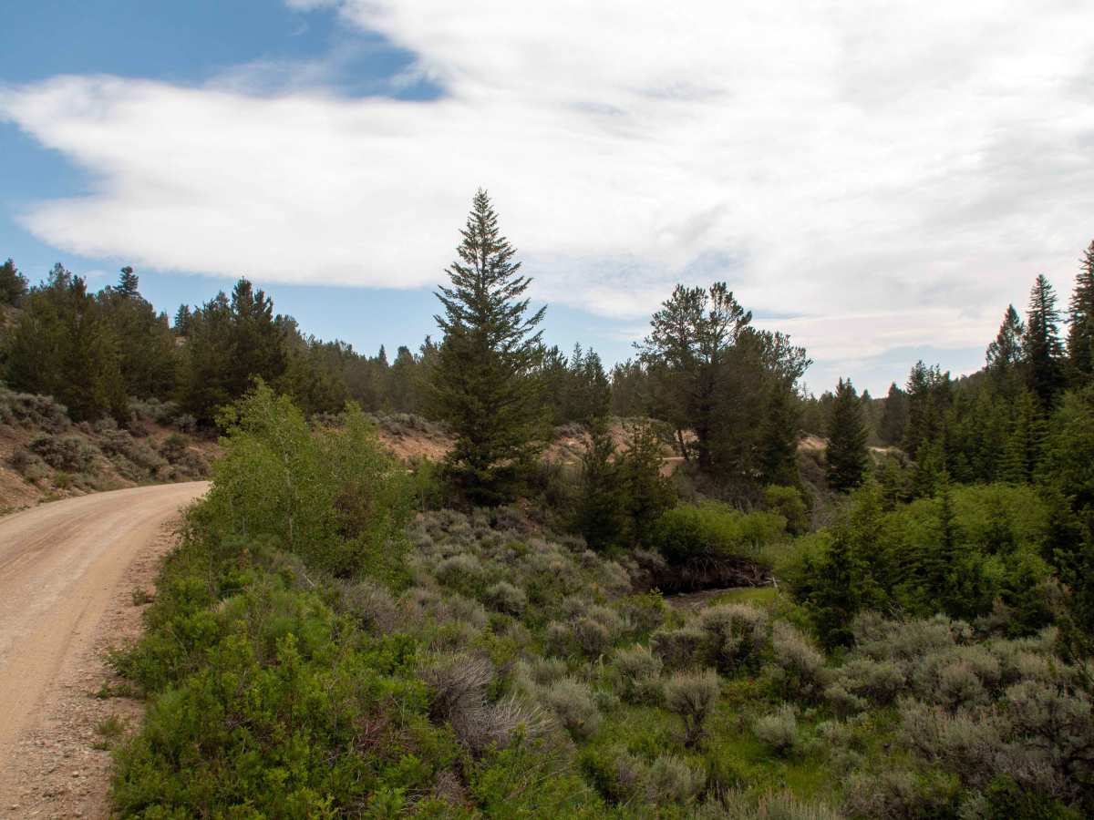 Hoop Lake - FS 80078 photo 6